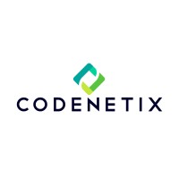 Codenetixllc logo - Similar company to Unlight Studio