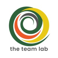 The Team Lab - specialists in Leadership Team Effectiveness logo - Similar company to Selfspace