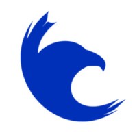 Blue Brave Digital logo - Similar company to Digital Kishore