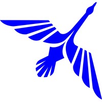 Cygnus Communications Corporation