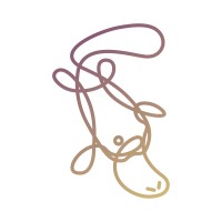Platypus Health logo - Similar company to Flightline
