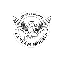 La Team Models logo - Similar company to Rc Models Team