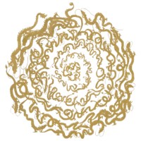 72 Dragons logo - Similar company to Vineetha