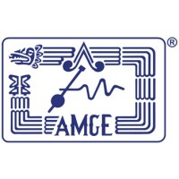 AMGE Houston Delegation logo - Similar company to Rolto Quality Solutions Llc