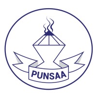 Puntland Non-State Actors Association (PUNSAA) logo - Similar company to Bright Future Development Organisation (Bfdo)