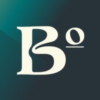 Boreale logo - Similar company to Onlab.Io