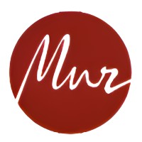 Miguel Mur logo - Similar company to Mb Lens