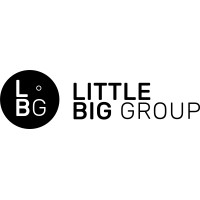 The Little Big Group logo - Similar company to Meliora