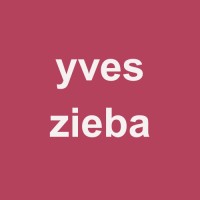 Yves Zieba logo - Similar company to Digital Services Hub
