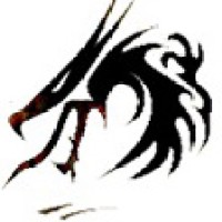 Dragonstore logo - Similar company to Dox