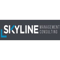 SkyLine Management Consulting Group logo - Similar company to Top Financial Times
