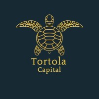 Tortola Capital logo - Similar company to Brave Labs