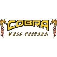Cobra Well Testers logo - Similar company to Dinotech Energy