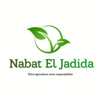 NABAT EL JADIDA logo - Similar company to Marketing Digital Et Stratégies El Jadida