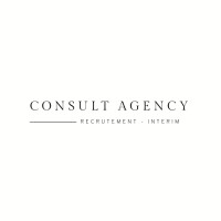 CONSULT AGENCY logo - Similar company to Top