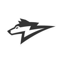 Flashdog Films logo - Similar company to Mothers Meetings