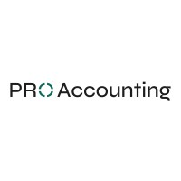 PRO ACCOUNTING logo - Similar company to Digital Solutions