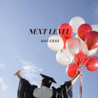 Next Level Success logo - Similar company to Status Pros