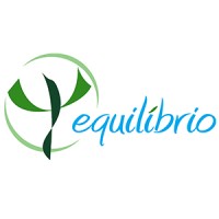 O Equilíbrio