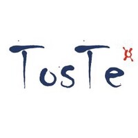 Toste - Healthcare Consulting logo - Similar company to Girl On The Ground Portugal