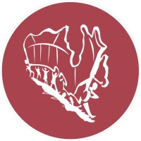 The Students Commission of Canada logo - Similar company to Changemaker Cafe