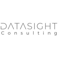 Datasight Consulting logo - Similar company to Datasight®