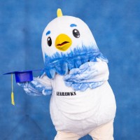 Wells International School Alumni Network logo - Similar company to Aits