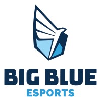 Big Blue Esports Llc
