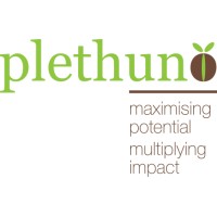 Plethuno logo - Similar company to Elevate Team Asia