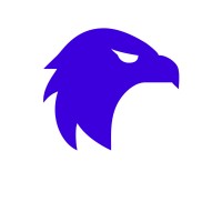 Blue Eagle Oilfield Services, LLC logo - Similar company to Racca Solutions Group