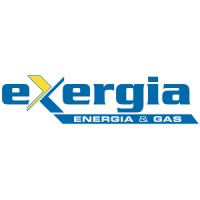 Exergia S.p.a logo - Similar company to Exergia