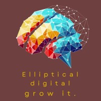 Elliptical Digital logo - Similar company to Digitalentio Solutions