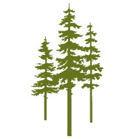 Red Pine Circle LLC