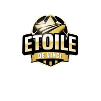 Etoile de Vinci logo - Similar company to Léorugby