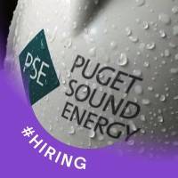 Puget Sound Energy IT logo - Similar company to Stormchaser Technologies