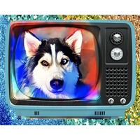 Penelly Watches Telly logo - Similar company to The Petzbe App