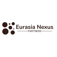 Eurasia Nexus Partners logo - Similar company to Ametse