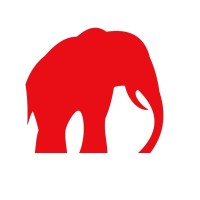 Red Elephant Business Mentors logo - Similar company to Actioncoach Oakham & Kettering