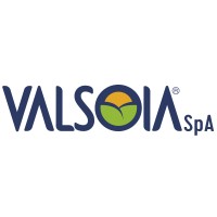 Valsoia S.p.a. logo - Similar company to Etichette Alimentari - Consulenza In Etichettatura