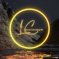 Lienes Consulting AB logo - Similar company to Ilva Consulting - Remote Accounting Services