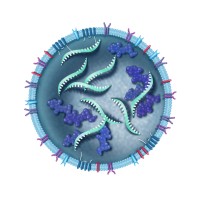 Aruna Bio, Inc. logo - Similar company to Lectenz Bio