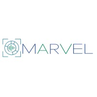 MARVEL Project logo - Similar company to Pattern Project