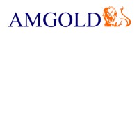 AMGOLD (Official) logo - Similar company to T-Naut