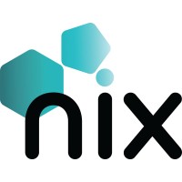 Nix LLC logo - Similar company to Brownstone Private Security