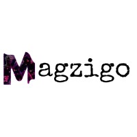 Magzigo Techlab Private Limited logo - Similar company to A Global It