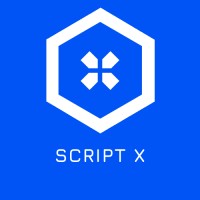 Script X logo - Similar company to Webdoblea