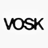 VOSK logo - Similar company to Hilights.Studio