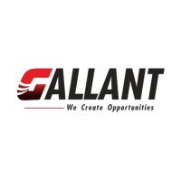 GALLANT Consultant logo - Similar company to Langstaff Career Services, Inc.