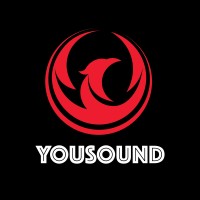 Dongguan YouSound Electronics Co., Ltd. logo - Similar company to Accutone Apac