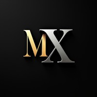 MetaX Consulting logo - Similar company to Scotwork Brasil